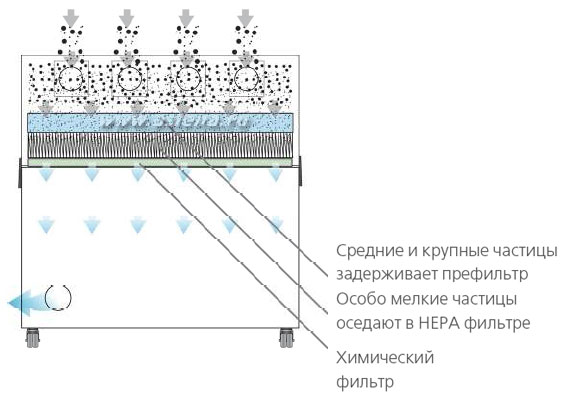     BOFA V2000